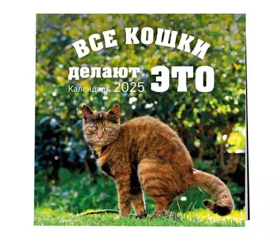 Календарь 2025г 300*300 "Все кошки делают это" настенный, на скрепке