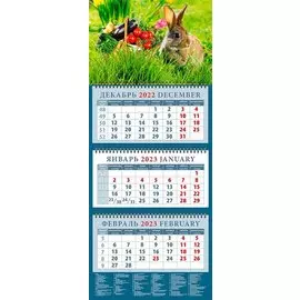 Календарь квартальный на 2023 год "Год кролика. Хороший урожай"