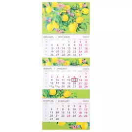 Календарь квартальный на 2023 год "Лимоны"