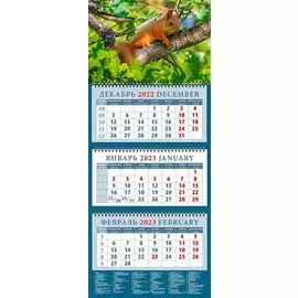 Календарь квартальный на 2023 год "Очаровательный бельчонок"