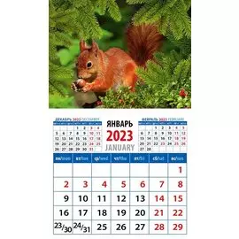 Календарь магнитный на 2023 год "Белка с орехом"
