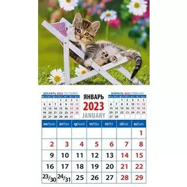 Календарь магнитный на 2023 год "Год кота Отдых в шезлонге"