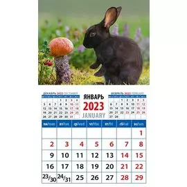 Календарь магнитный на 2023 год "Год кролика. Длинноухий грибник"