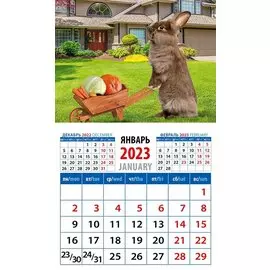 Календарь магнитный на 2023 год "Год кролика. Хороший урожай"