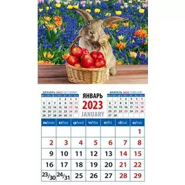 Календарь магнитный на 2023 год "Год кролика. Наливные яблочки"