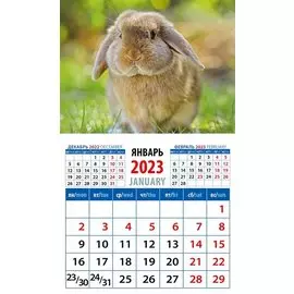 Календарь магнитный на 2023 год "Год кролика. Обаятельный и привлекательный"
