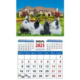 Календарь магнитный на 2023 год "Год кролика. Великолепная четверка"