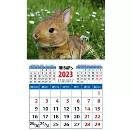 Календарь магнитный на 2023 год "Год кролика. Забавный малыш в траве"