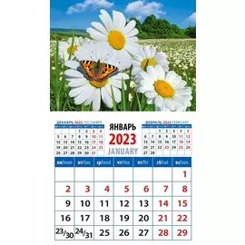 Календарь магнитный на 2023 год "Пейзаж с ромашками и бабочкой"