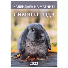 Календарь на магните отрывной на 2023 год "Символ года. Вид 4"