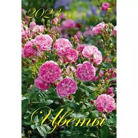 Календарь настенный на 2023 год "Цветы"