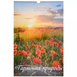 Календарь настенный на 2023 год "Гармония природы"
