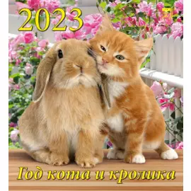 Календарь настенный на 2023 год "Год кота и кролика"