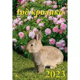 Календарь настенный на 2023 год "Год кролика"