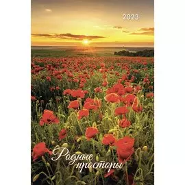 Календарь настенный на 2023 год "Родные просторы"