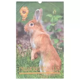 Календарь настенный на 2023 год "Символ года. Пушистый хвостик"