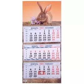 Календарь настенный на 2023 год "Символ года"