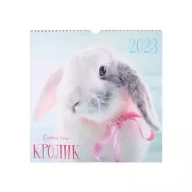 Календарь настенный на 2023 год "Символ года"