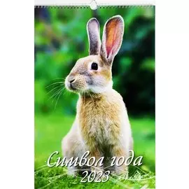 Календарь настенный на 2023 год "Символ года"