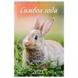 Календарь настенный перекидной на 2023 год "Символ года. Вид 1"