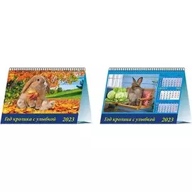Календарь настольный на 2023 год "Год кролика с улыбкой"