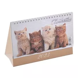 Календарь настольный на 2023 год "Котята"