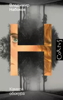 Камера обскура