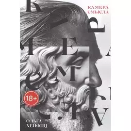 Камера смысла