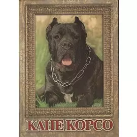 Кане корсо. альбом