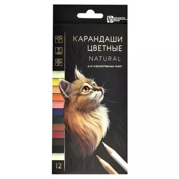 Карандаши цветные Феникс+, "Натурель", 12 цветов