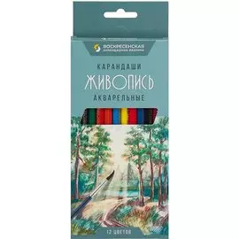 Карандаши цветные Акварельные 12цв "Живопись" к/к