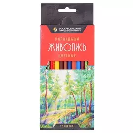 Карандаши цветные ВКФ, "Живопись", 12 цветов