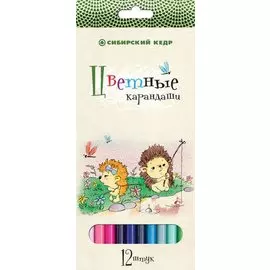 Карандаши, Набор, 12 цветов, Сибирский Кедр. Ежик, (длина 175 мм) шестигранные в картонной коробке
