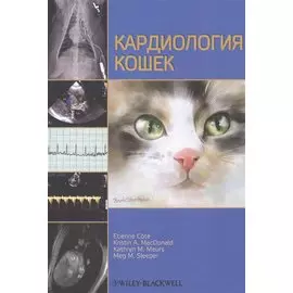 Кардиология кошек
