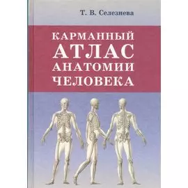 Карманный атлас анатомии человека
