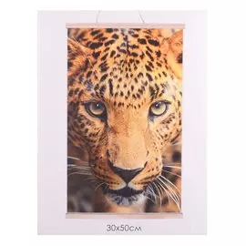Картина для раскрашивания по номерам. ПАННО. Леопард. 30x50 см
