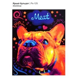 Картина по номера на холсте ТМ LORI "Яркий бульдог" 40х50см