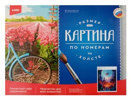 Картина по номерам холст на подрамнике 40*50см "Другой мир"