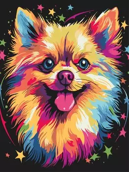 Картина по номерам. На черном холсте. Цветной шпиц