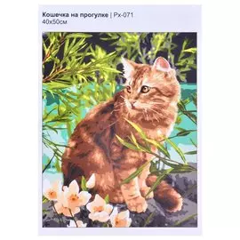 Картина по номерам на холсте "Кошечка на прогулке", 40 х 50 см