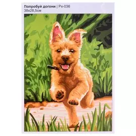 Картина по номерам на холсте "Попробуй догони", 30 х 40 см