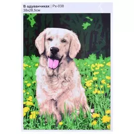 Картина по номерам на холсте "В одуванчиках", 30 х 40 см