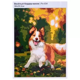 Картина по номерам "Весёлый бордер-колли"