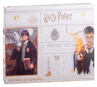 Картина по номерам "Поттер и Сова"