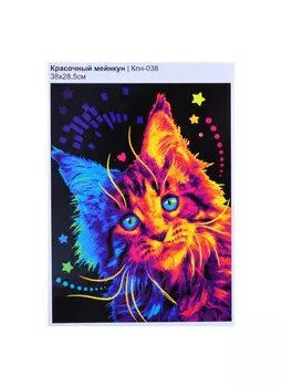 Картина по номерам "Красочный мейнкун"