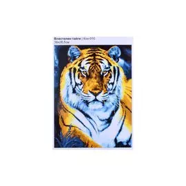 Картина по номерам "Властелин тайги"