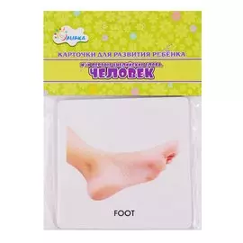 Карточки для развития ребенка "Мои первые английские слова. Человек"