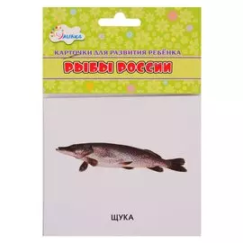 Карточки для развития ребенка "Рыбы России"