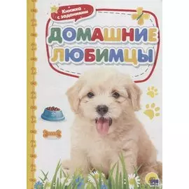 Домашние любимцы