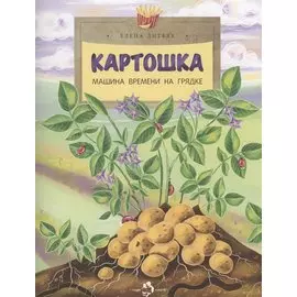 Картошка. Машина времени на грядке